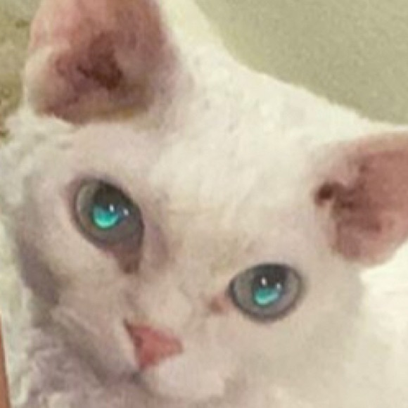 Meet your Posher, Erin - Picture 1 of 1